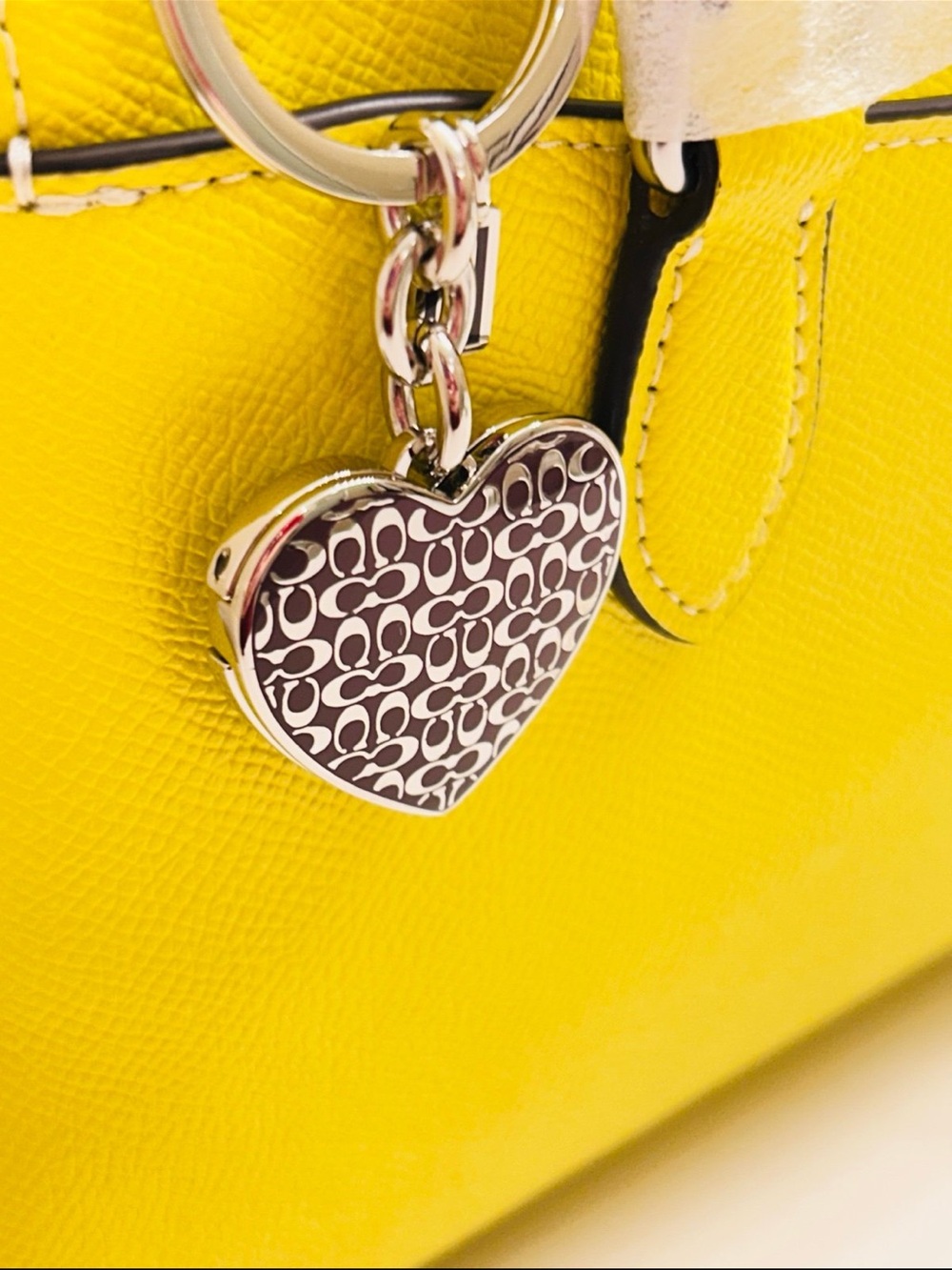 Coach Heart Picture Frame Keychain/ Bag Charm - Gem